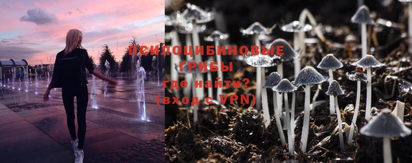 каннабис Беломорск