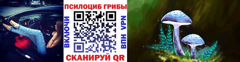 где купить наркоту  Ульяновск  Галлюциногенные грибы Psilocybine cubensis 